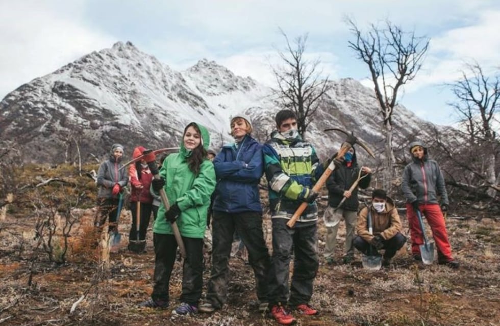 Reemplazan árboles nativos en los bosques incendiados de Tierra del Fuego