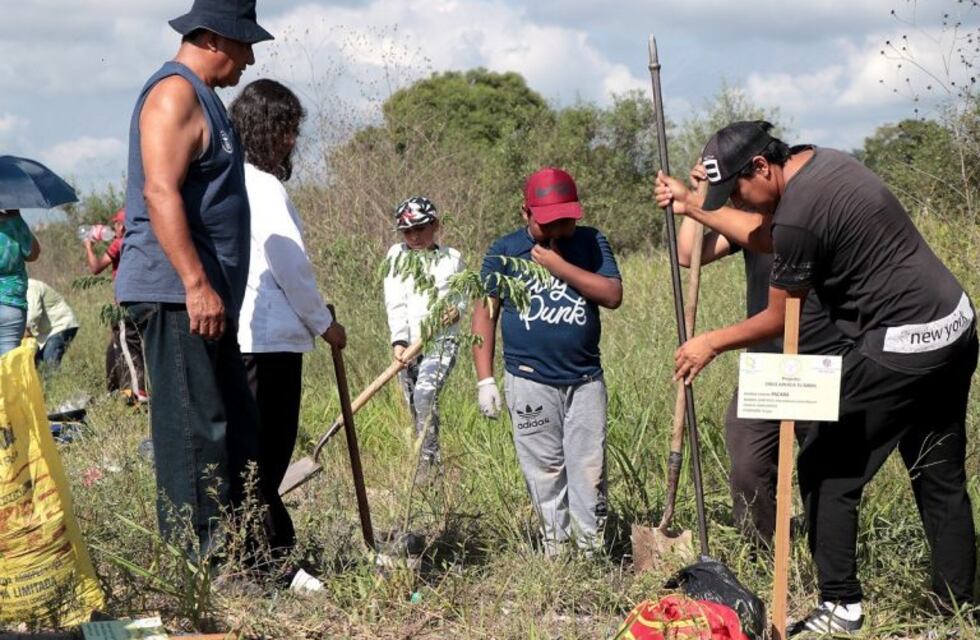 En Jujuy, los bebés llegarán con "un árbol bajo el brazo"