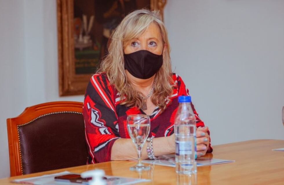 Chapperón: "Tenemos un sistema de salud que esta extenuado"