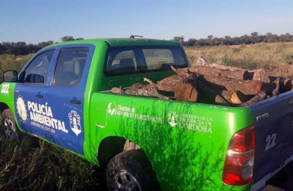 10 familias fueron asistidas con leña incautada