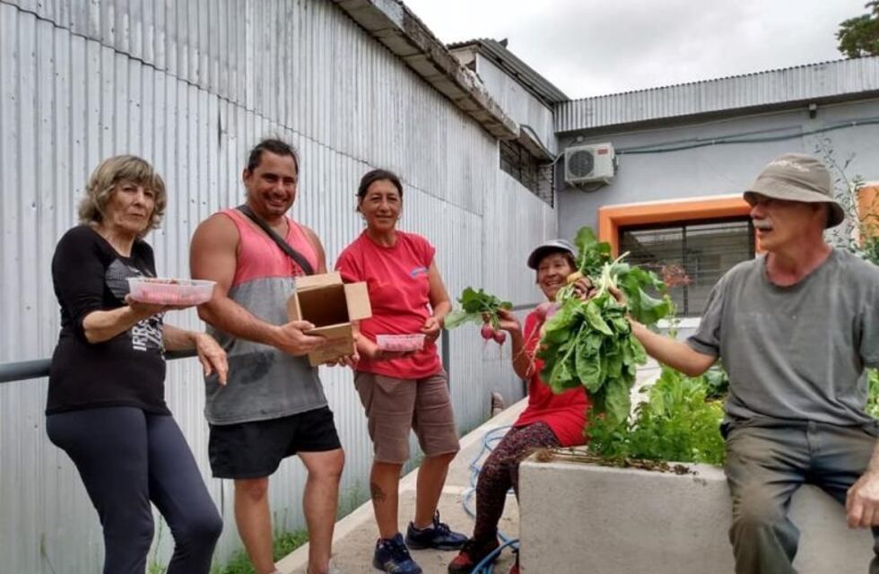 Cada vez son más los vecinos que se suman a la huerta orgánica de Carlos Paz