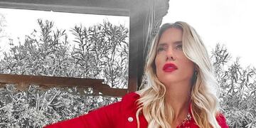 Nicole Neumann (Instagram)