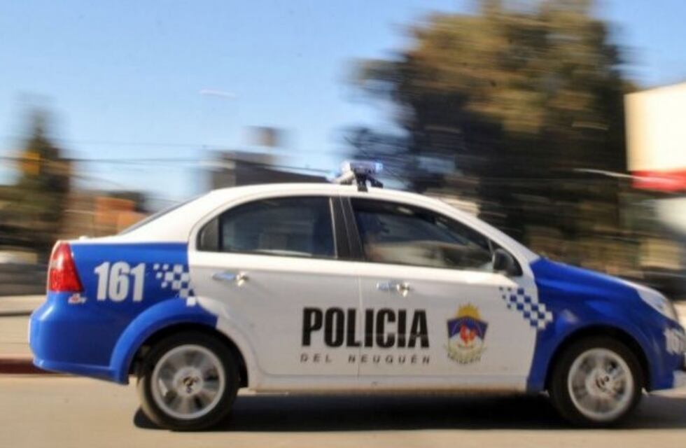 Un delincuente robó un fernet y volvió a pedir disculpas en Junín de los Andes