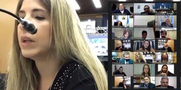 La diputada provincial, Silvia Andraus, se opuso a la modificación