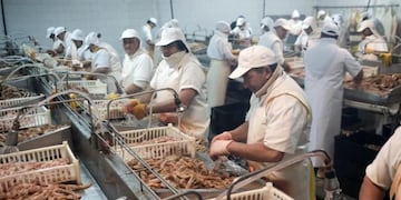 Exportación de pescado y mariscos