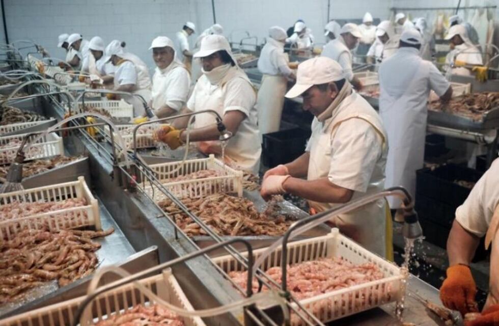 El volumen de exportación de pescado y mariscos cayó más del 4 %