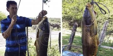 Carpa gigante en San Luis