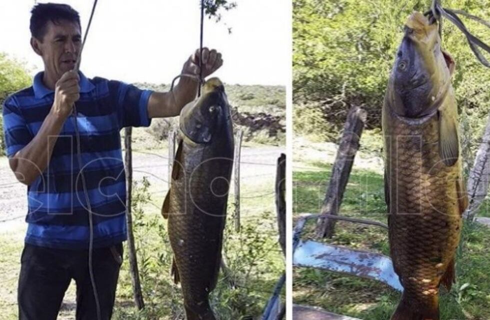 Pescó una carpa gigante en el dique La Huertita de San Luis
