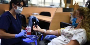 Donación de sangre\u002E Mitos y verdades\u002E