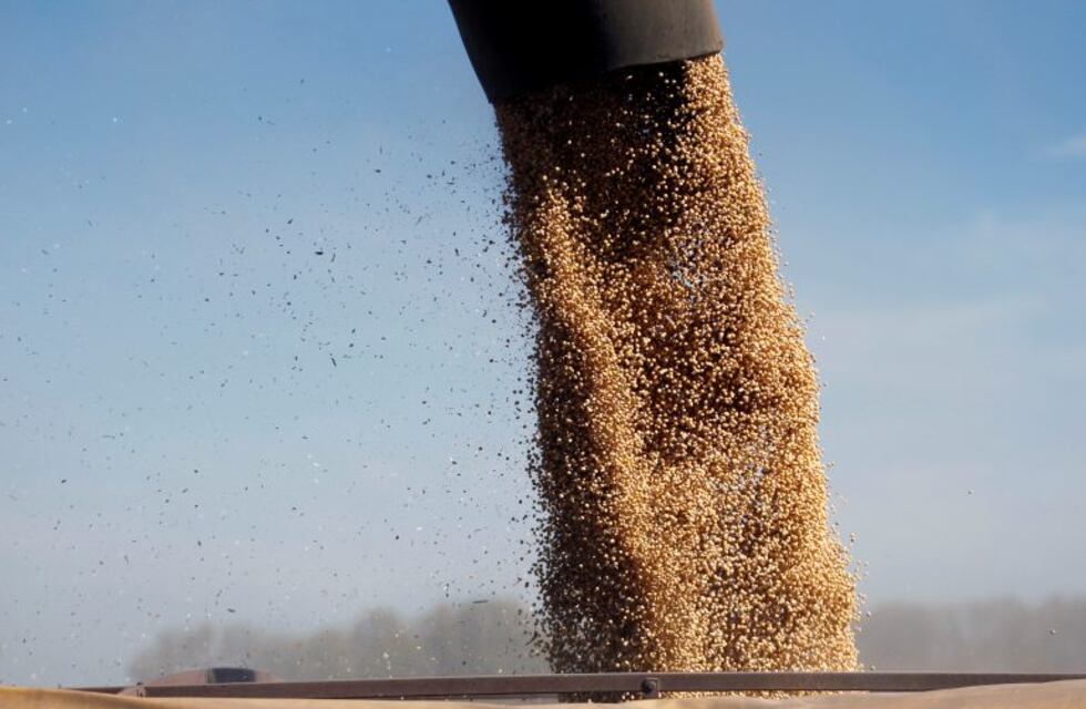 En medio de la tensión por las retenciones prevén que la producción de soja caerá en 2 millones de toneladas