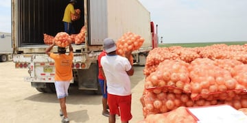 Transporte de cebollas para exportación