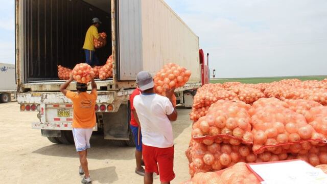 Transporte de cebollas para exportación