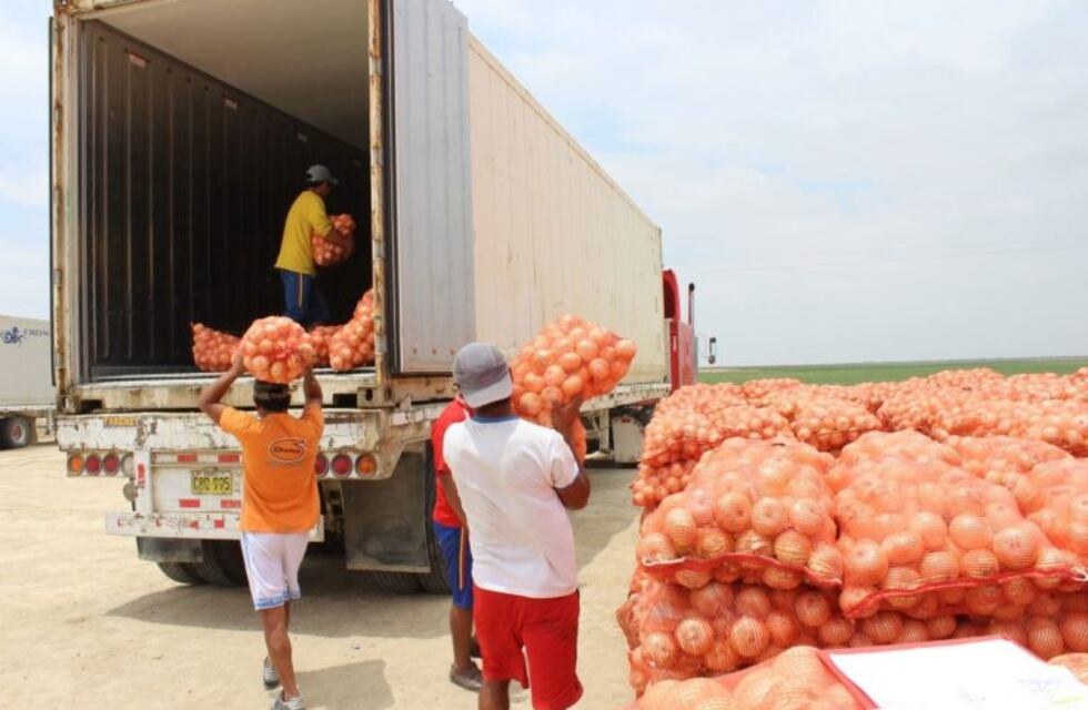Las lluvias en Brasil podrían mejorar las ventas de cebolla argentina