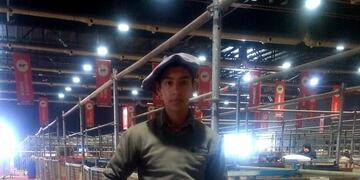 Los ejemplares ovinos de Misiones ya están en Palermo