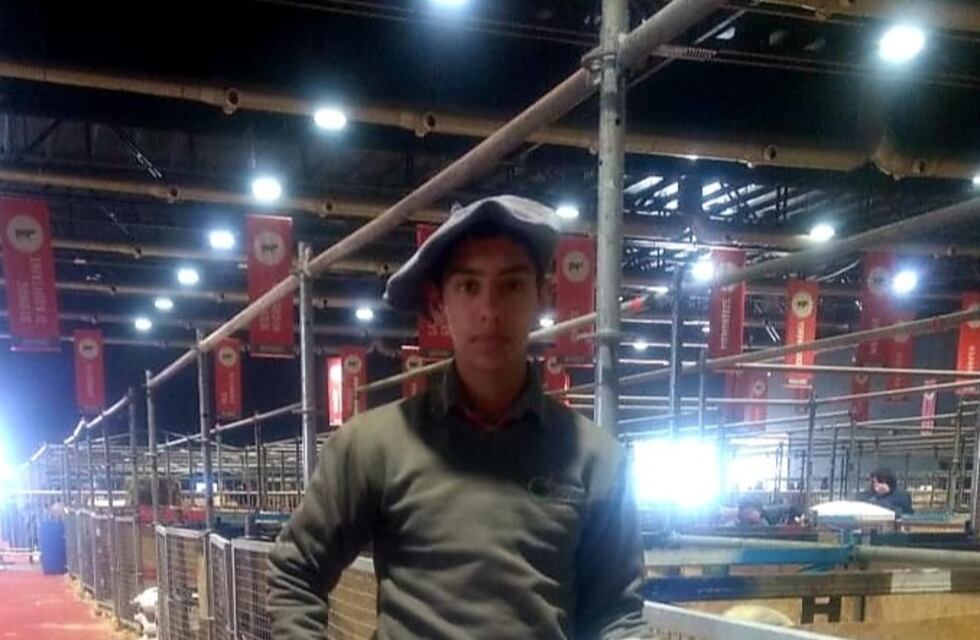 Los ejemplares ovinos de Misiones ya están en Palermo