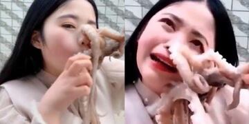 Una adolescente se filmó comiéndose un pulpo que casi se la come a ella