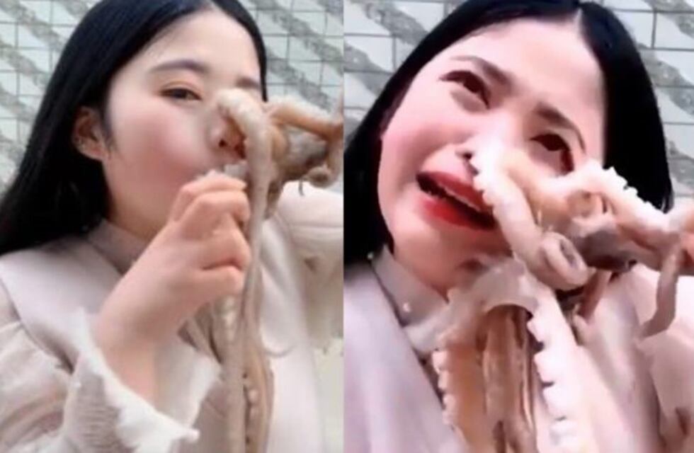 Una adolescente se filmó comiéndose un pulpo que casi se la come a ella
