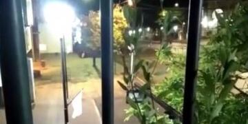 Una cámara de un local vecino captó las imágenes del robo\u002E