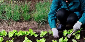 Agroecología (Web)