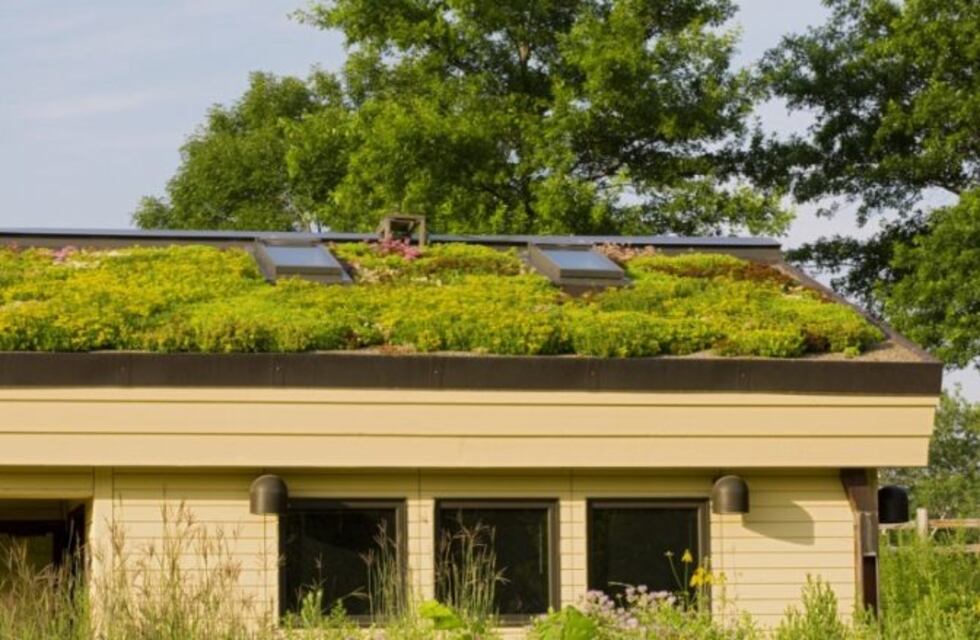 La UNNE volvió a recomendar el uso de los "techos verdes"