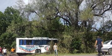 El micro salió de la carpeta asfáltica y se metió a una propiedad privada\u002E