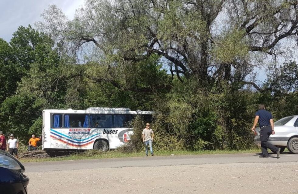 Micro de Lep se salió de la calzada e impacto en la banquina
