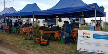 Feria de Economía Social