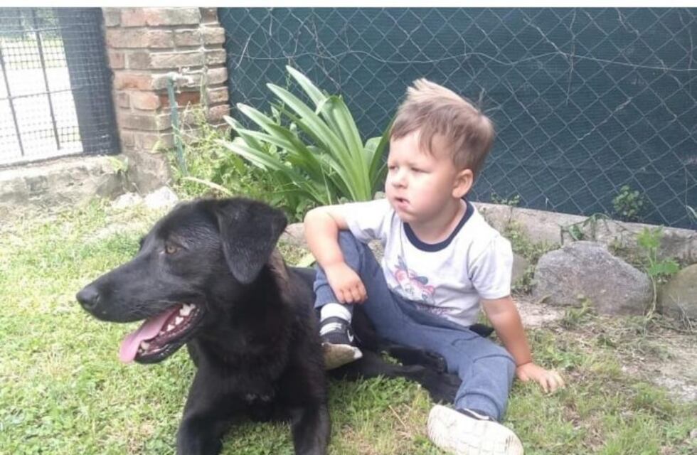 Ciro, el pequeño carlospacense que conoció a "Sonrisa", su nueva compañera terapéutica