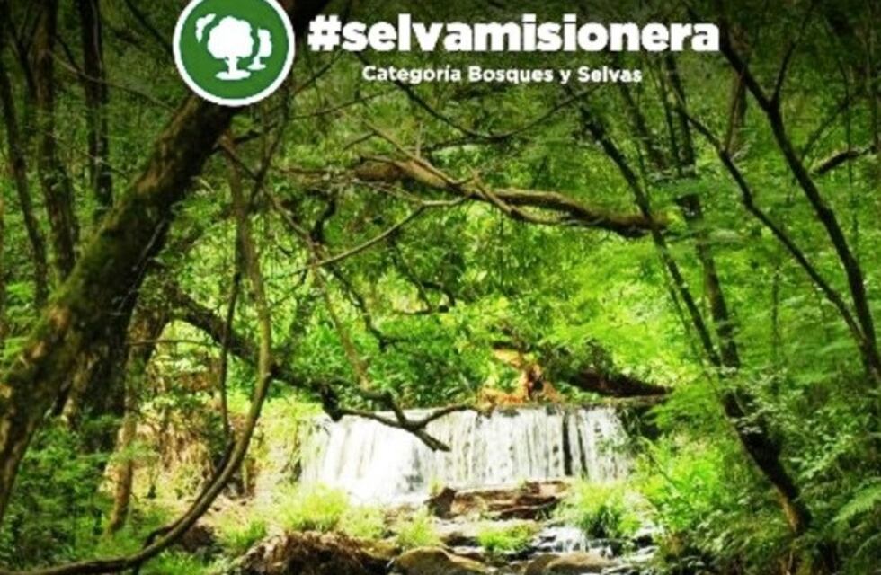 Estas son las 7 maravillas Naturales de la Argentina, elegidas por el voto popular