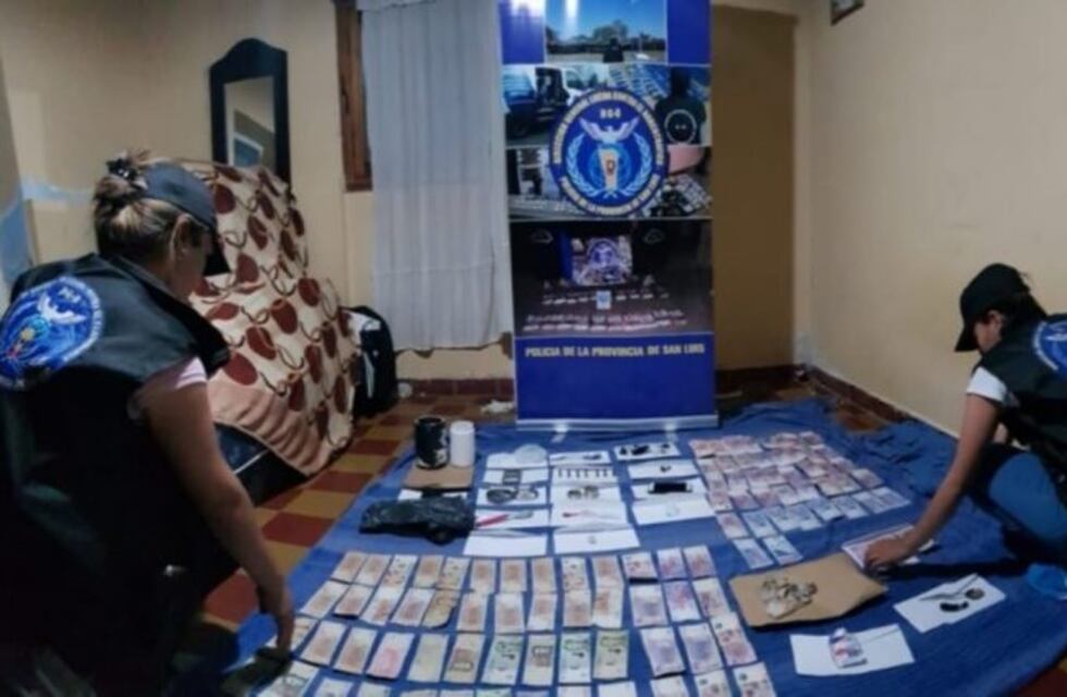 Secuestraron gran cantidad de drogas valuadas en más de 600 mil pesos