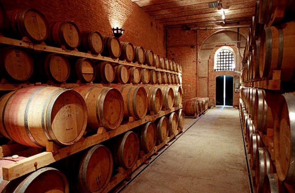 Viticultores y pequeñas bodegas podrán acceder a financiamiento a baja tasa