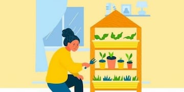 Huerta en casa\u002E