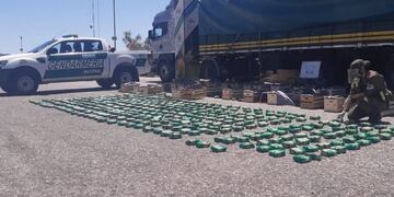 Gendarmería Nacional detuvo a un camionero con 90 kilogramos de coca\u002E