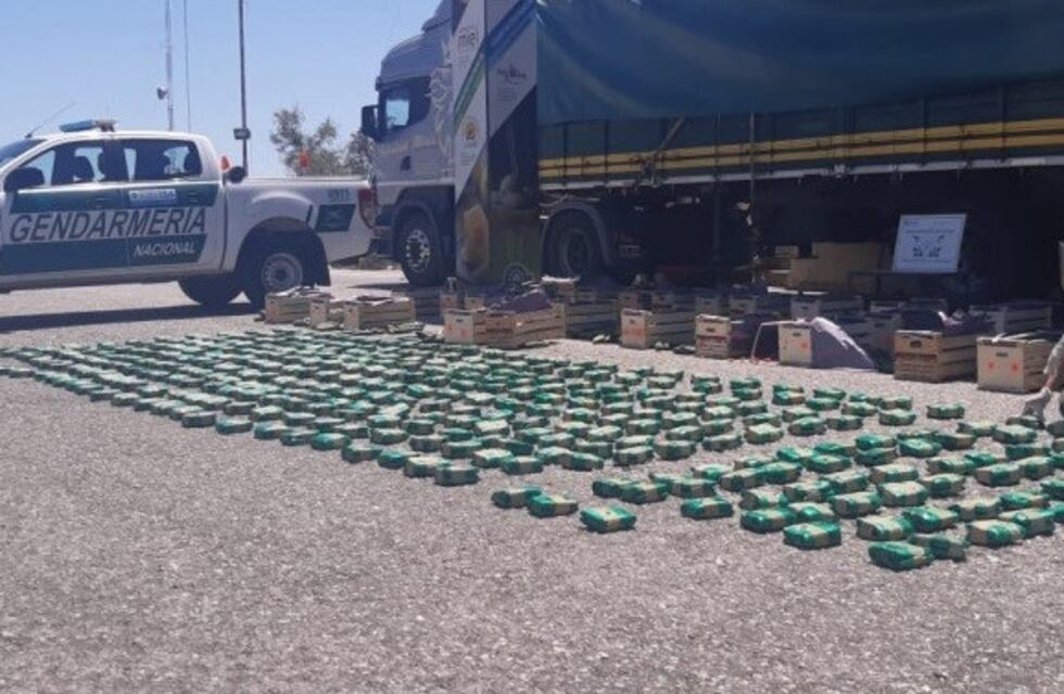 Detienen a camionero por un cargamento de 90 kilos de hojas de coca