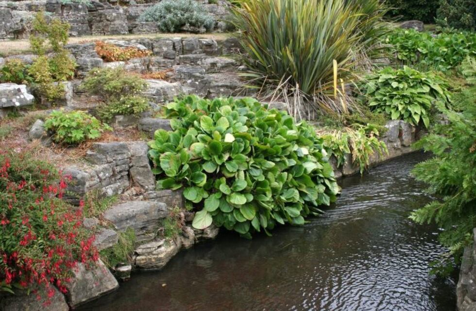 Agua de Oro: harán taller de jardinería los sábados