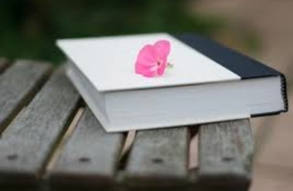 Se realizará hoy en Salta una Liberación de Libros