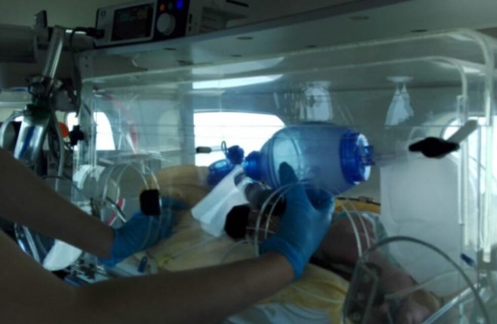 Con diversas actividades se realiza la campaña por la Semana del Prematuro