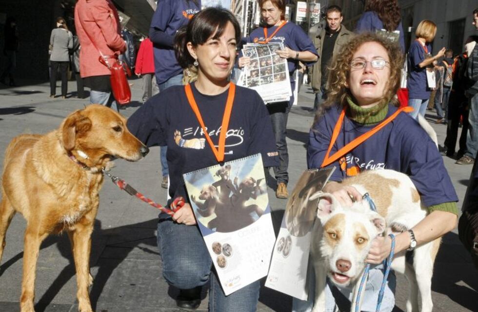 Piden ayuda para proteger animales en el hogar "Patitas Coloradas"