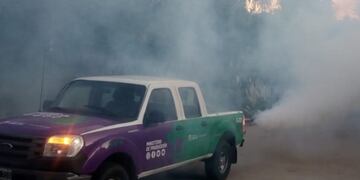 Refuerzan prevención contra el dengue en San Luis\u002E
