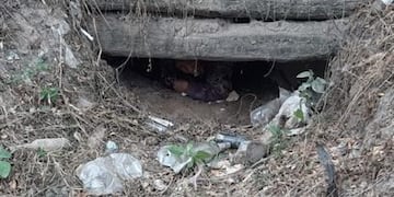 Frontera caliente: bolivianos trataron de ingresar al país por una alcantarilla\u002E (El Tribuno)