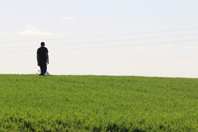 Plantación - Ramiro Bustinza