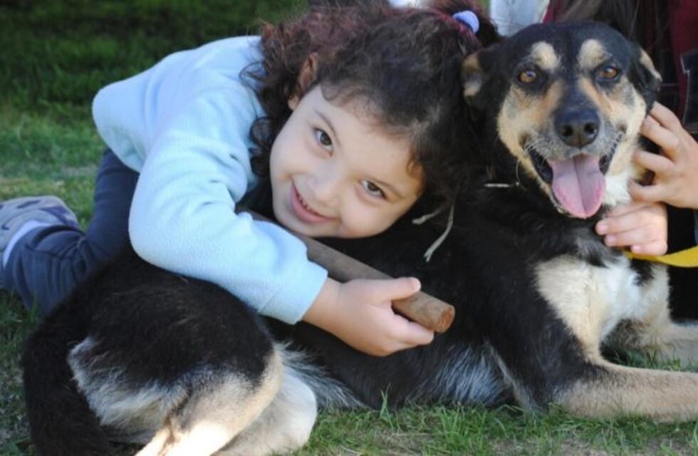 La historia de Palito, la perra callejera que encontró una familia luego de la tragedia