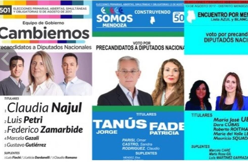 Las boletas oficiales de las 11 listas de Mendoza