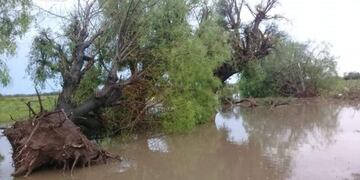 Declararon la emergencia agropecuaria en el sudeste santiagueño