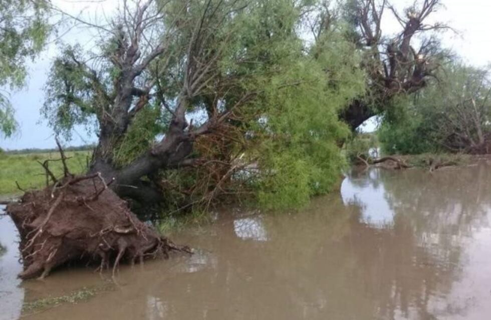 Declararon la emergencia agropecuaria en el sudeste santiagueño