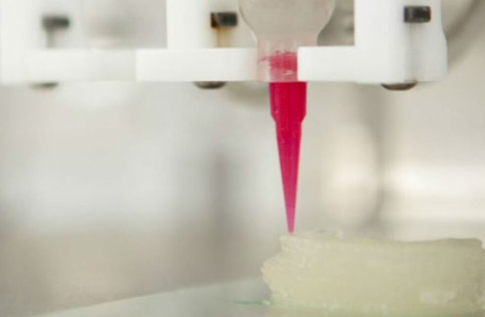 Cordobeses desarrollan un sistema para el testeo de drogas en tejidos a partir de células humanas