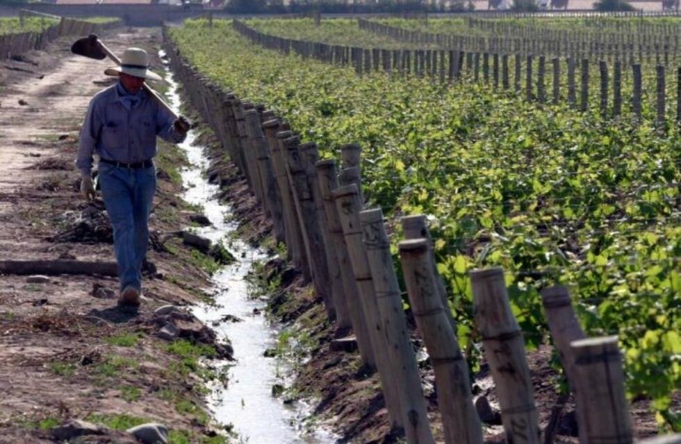 A través del Fondo Compensador se transfirieron $110 millones al sector agrícola