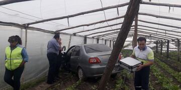 Una mujer perdió el control de su auto y terminó dentro de un tendalero