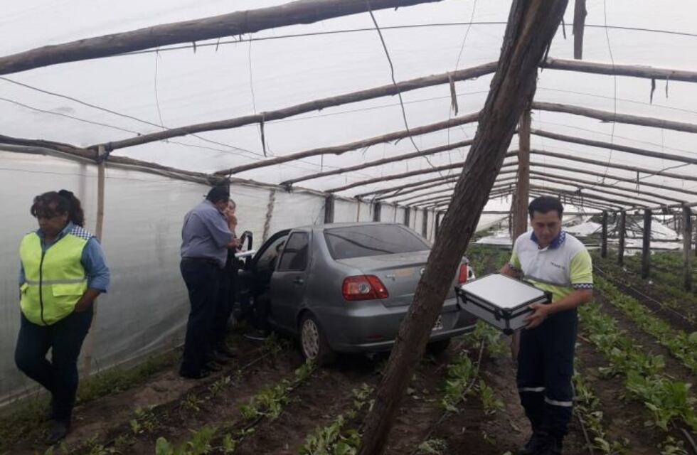 Una mujer perdió el control de su auto y terminó dentro de un tendalero
