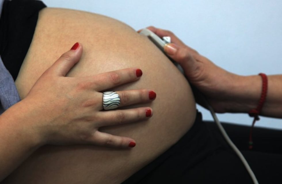 Plan de los Mil Días: los puntos más importantes del proyecto que acompaña la legalización del aborto